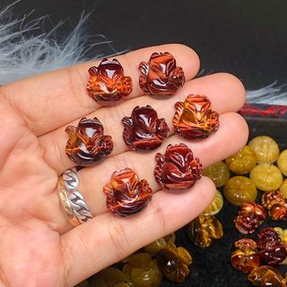 Hồ ly thạch anh mắt hổ nâu