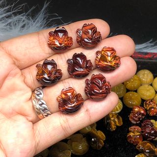 Hồ ly thạch anh mắt hổ nâu