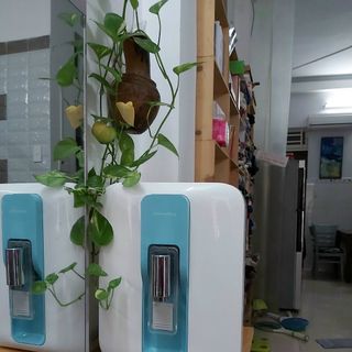 Máy lọc nước Coway để bàn