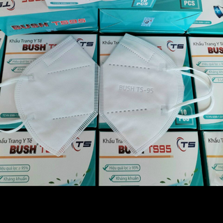 Khẩu Trang Y Tế N95 BUSH TS95 Chính Hãng 5 Lốp Giá Sỉ