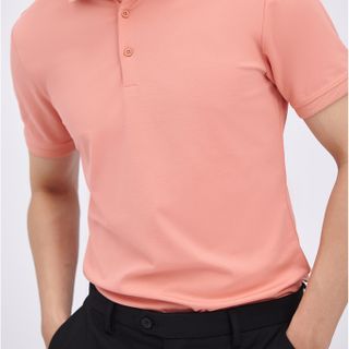 ÁO THUN CỔ POLO AKUBA 02D109