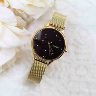 ĐỒNG HỒ SKAGEN GOLD SKW2385 CAO CẤP