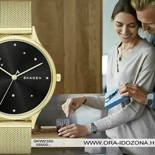ĐỒNG HỒ SKAGEN GOLD SKW2385 CAO CẤP