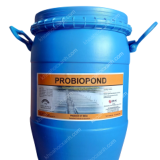 Vi sinh xử lý đáy chủng Nitro PROBIOPOND (ẤN ĐỘ)