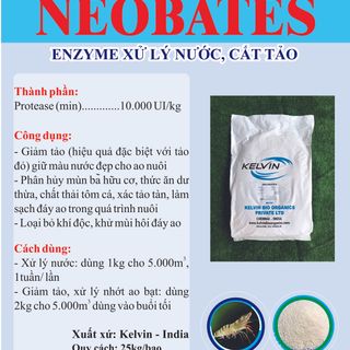 NEOBATES - Enzyme xử lý nước, nhớt bạt, hỗ trợ tiêu hoá (Ấn Độ, bao 25kg) giá sỉ