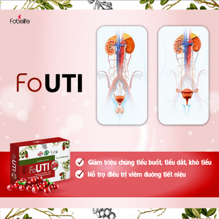 Fouti Giảm nhanh tiểu buốt, tiểu dắt, khó tiểu do viêm đường tiết niệu