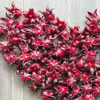 Hoa atiso đỏ khô bụp giấm hisbicus