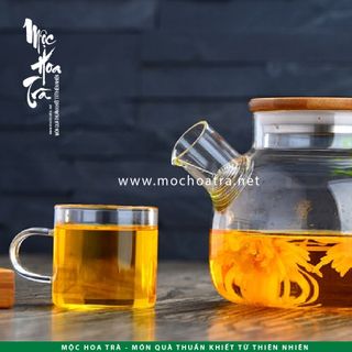 LY THỦY TINH CAO CẤP CHỊU NHIỆT HÌNH TRỤ - 6 CÁI/BỘ