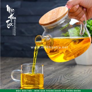 LY THỦY TINH CAO CẤP CHỊU NHIỆT HÌNH TRỤ - 6 CÁI/BỘ