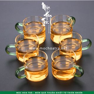 LY THỦY TINH CAO CẤP CHỊU NHIỆT HÌNH TRỤ - 6 CÁI/BỘ