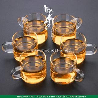 LY THỦY TINH CAO CẤP CHỊU NHIỆT HÌNH TRỤ - 6 CÁI/BỘ