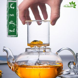 ẤM TRÀ THỦY TINH CAO CẤP CHỊU NHIỆT CÓ LÕI LỌC