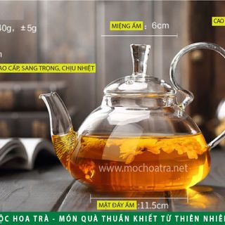 ẤM TRÀ THỦY TINH CAO CẤP CHỊU NHIỆT - QUAI VÒNG 600ml