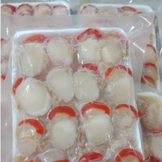 Còi Sò Điệp Nha Trang 500gr/ gói