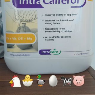 IntraCalferol Điều trị thiếu canxi, loãng xương vật nuôi, cứng vỏ tôm giá sỉ