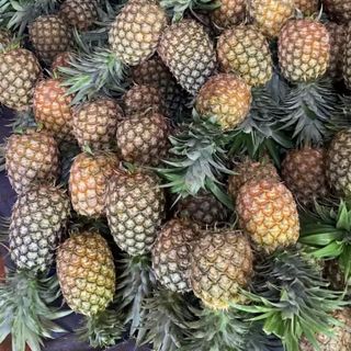 DỨA THƠM - MIỀN TÂY