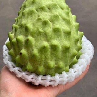 NA ĐÀI LOAN