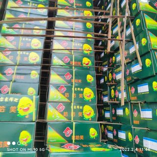 NA ĐÀI LOAN