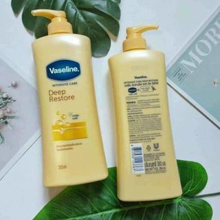 Dưỡng thể vaseline giá sỉ