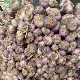 Hành tỏi khô Hải dương