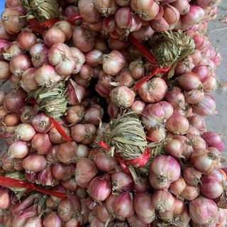 Hành tỏi khô Hải dương