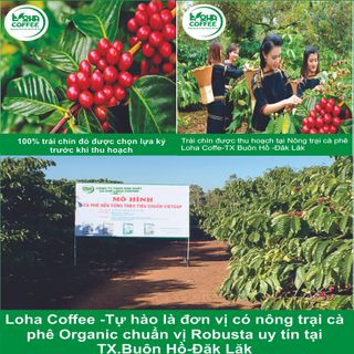 1kg Cà phê BỘT PHA PHIN Loha Coffee , vị đậm , đắng , mạnh , hậu ngọt , 100% nguyên chất, không tẩm ướp , không pha trộn hương liệu