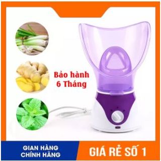 Máy xông mũi họng xông mặt thảo dược hoa quả nóng, xông hơi mini thông minh giá sỉ