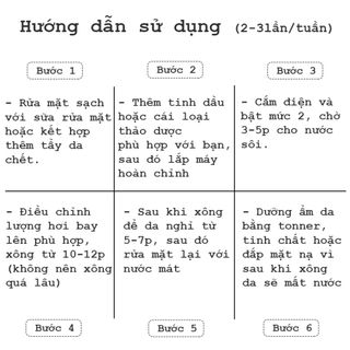 Máy xông mũi họng xông mặt thảo dược hoa quả nóng, xông hơi mini thông minh