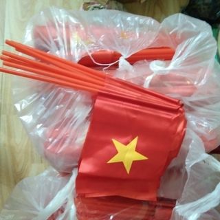 Cờ đỏ sao vàng cầm tay cỡ nhỏ có cán bằng vải