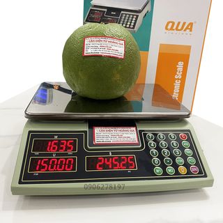 Cân điện tử 30kg tính tiền tự động QUA910 – Chống nước 70%