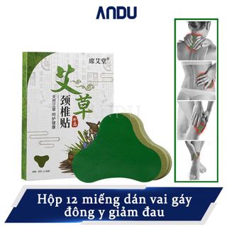 Hộp 12 miếng dán ngãi cứu