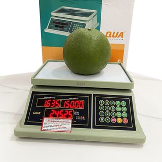 Cân điện tử tính tiền 30kg QUA832 – Chống nước tuyệt đối