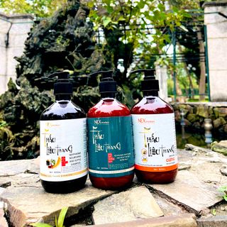 Dầu gội đầu dưỡng sinh thấu Liêu than