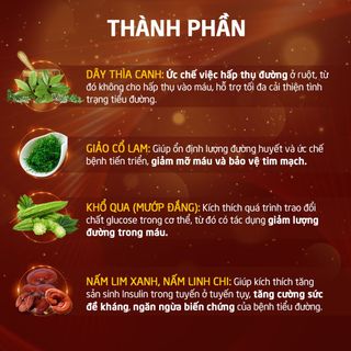 VIÊN UỐNG GIẢM ĐƯỜNG HUYẾT - ĐƯỜNG HUYẾT VƯƠNG