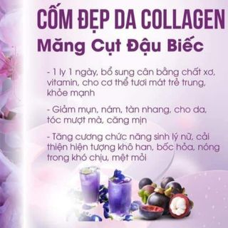 Collagen Măng Cụt Đậu Biếc CH 100%