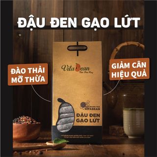 TRÀ TÚI LỌC ĐẬU ĐEN GẠO LỨT VITABEAN giá sỉ