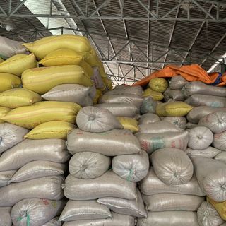 GẠO LỨT ĐỎ (XAY MỚI TẠI XƯỞNG)