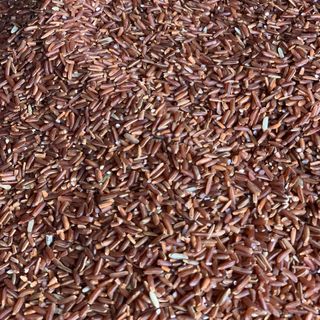 GẠO LỨT ĐỎ (XAY MỚI TẠI XƯỞNG)