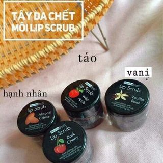 Tẩy da chết môi giá sỉ