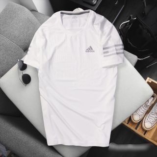 ÁO THÊ THAO CAO CẤP CTT 193