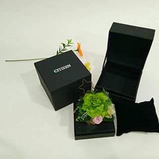 Hộp đồng hồ citizen