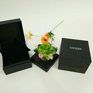 Hộp đồng hồ citizen
