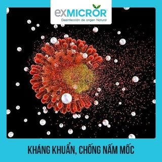 COMBO 6 CHAI EXMICROR PLUS 120ML - EXMICROR