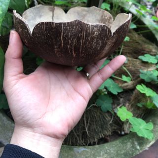 Bát gáo dừa cánh hoa