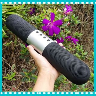 Loa bluetooth nghe nhạc không dây bass trầm ấm công suất lớn có cổng AUX kết nối máy tính để bàn LBTLCN210