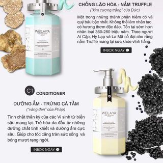 Cặp dầu gội xẢ weilaiya