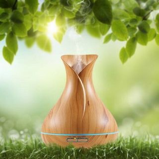 Máy xông tinh dầu