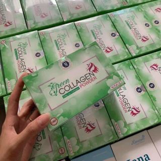 Diệp lục collagen giá sỉ