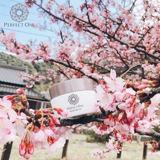 GEL DƯỠNG ẨM CHO DA MOISTURE GEL - PERFECT ONE