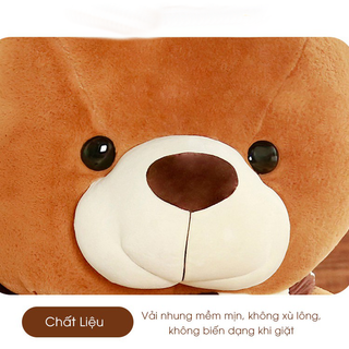 Gấu Bông Teddy Khăn, Thú Nhồi Bông Cao Cấp Quà Tặng Đáng Yêu Chất Liệu Vải Nhung Hàn Quốc Size 1m-1m3